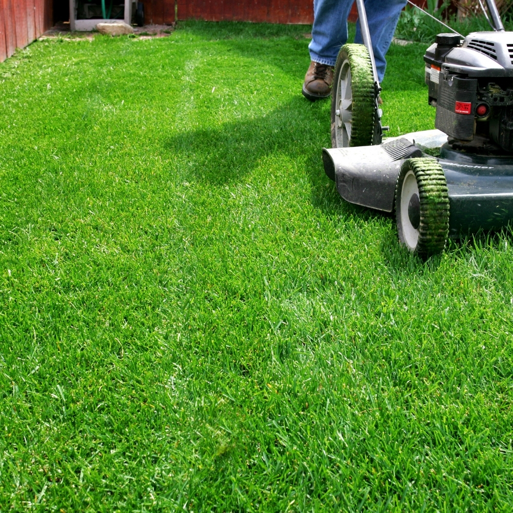 Lawn Care & Maintenance