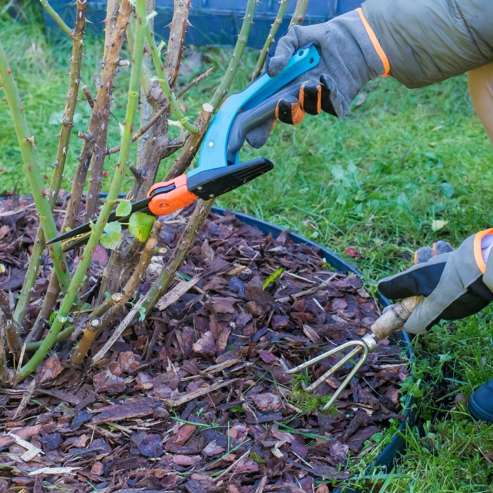 Lawn Edging