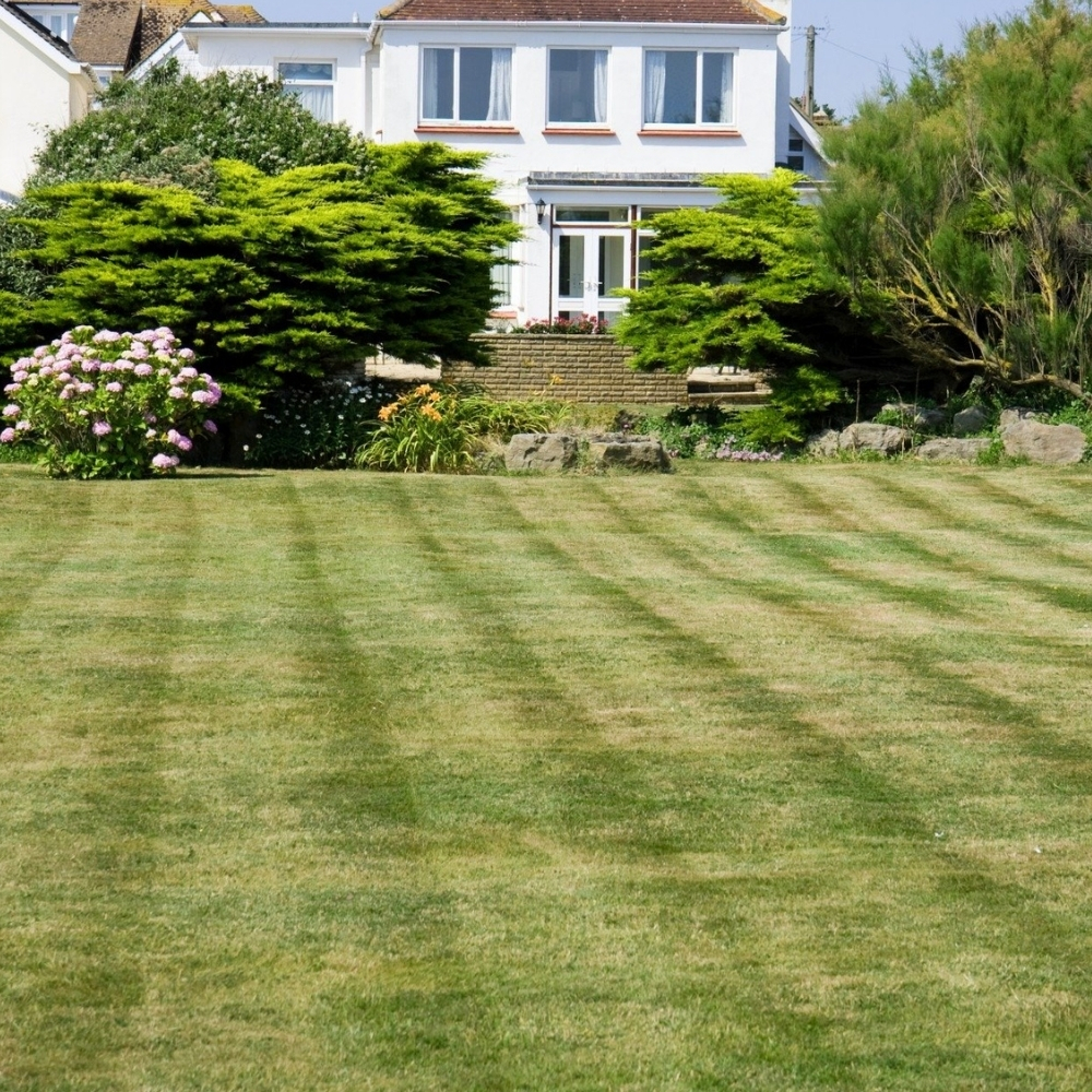 Lawn Mowing