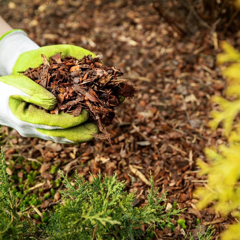 Mulch & Rock Installation