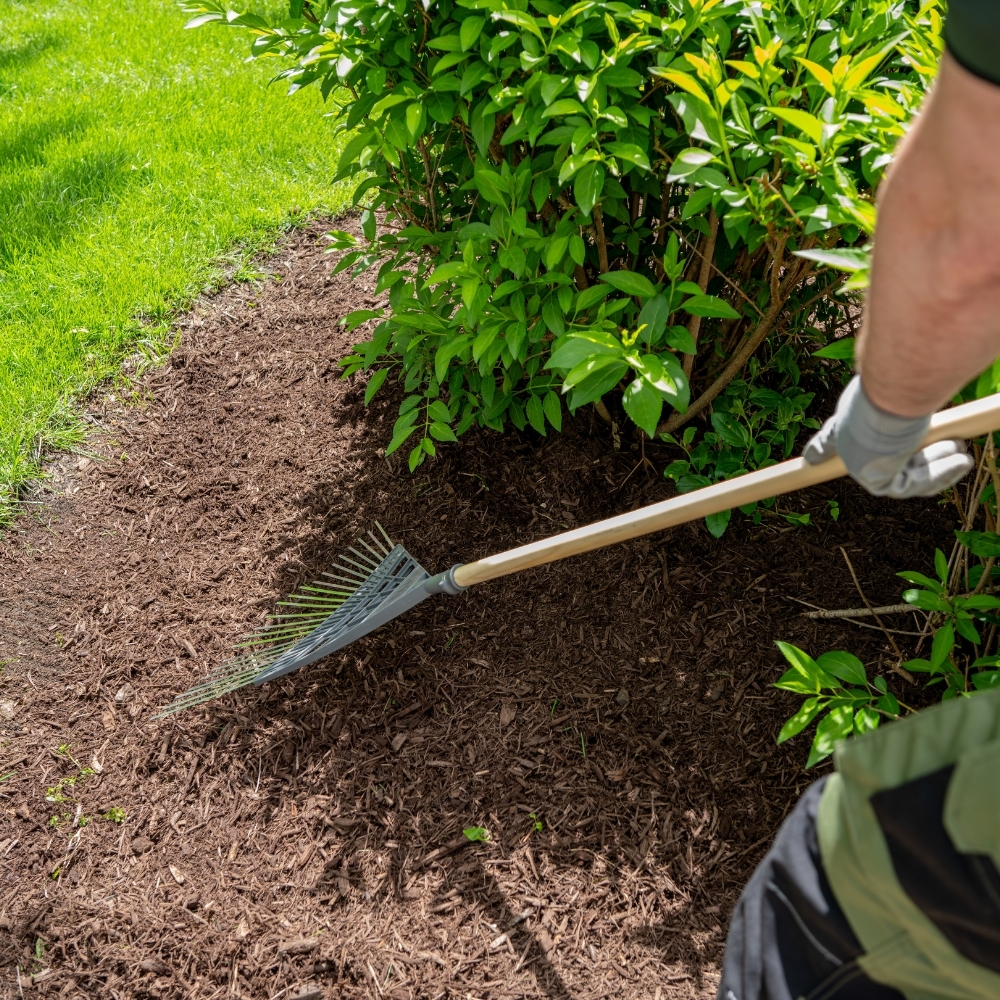 Planting