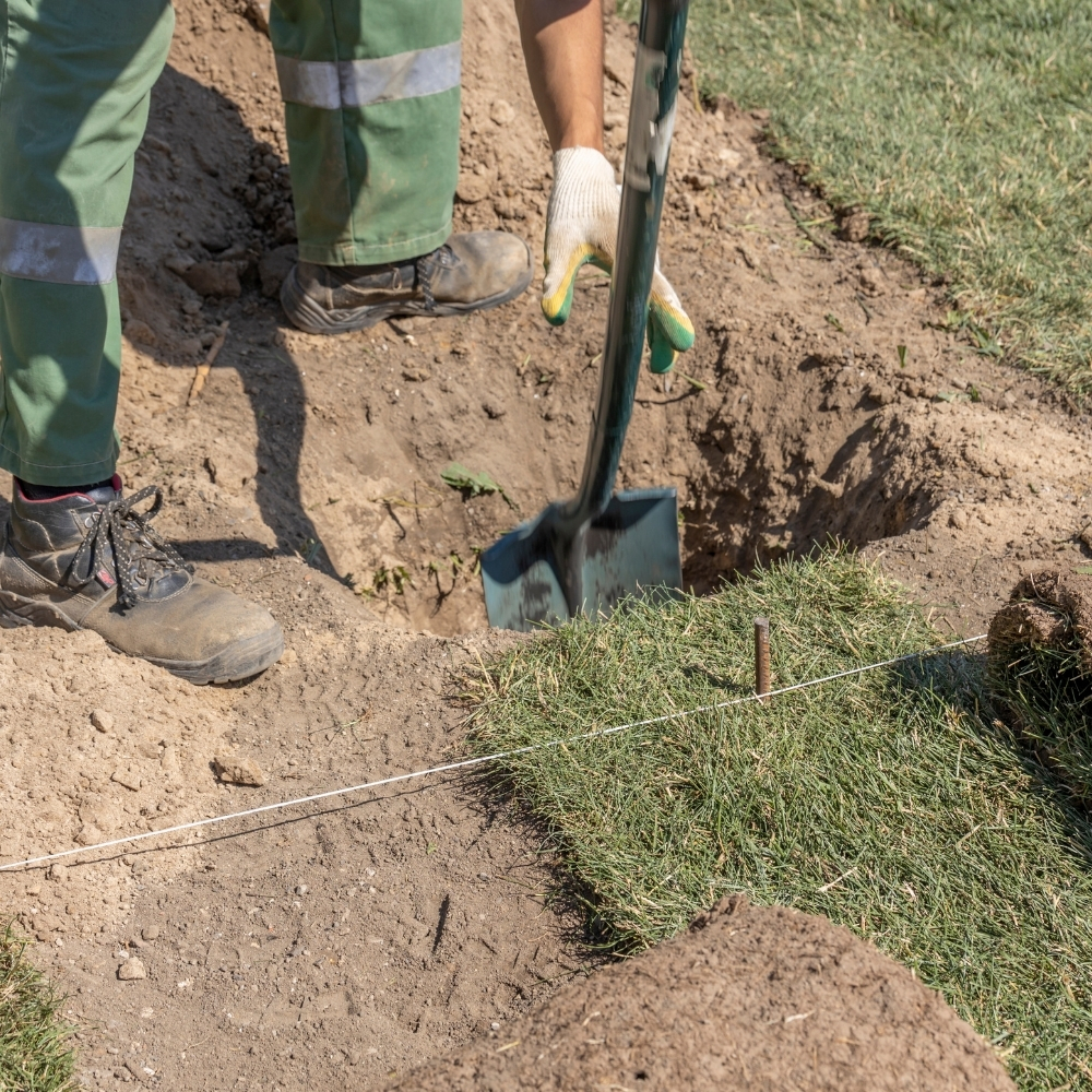Sod Installation