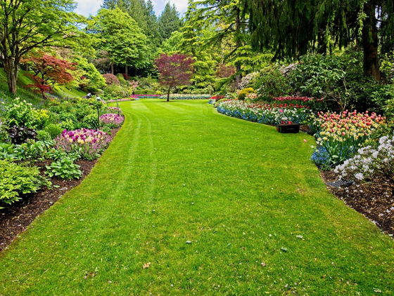 Garden Border