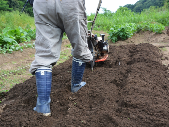 Soil Preparation